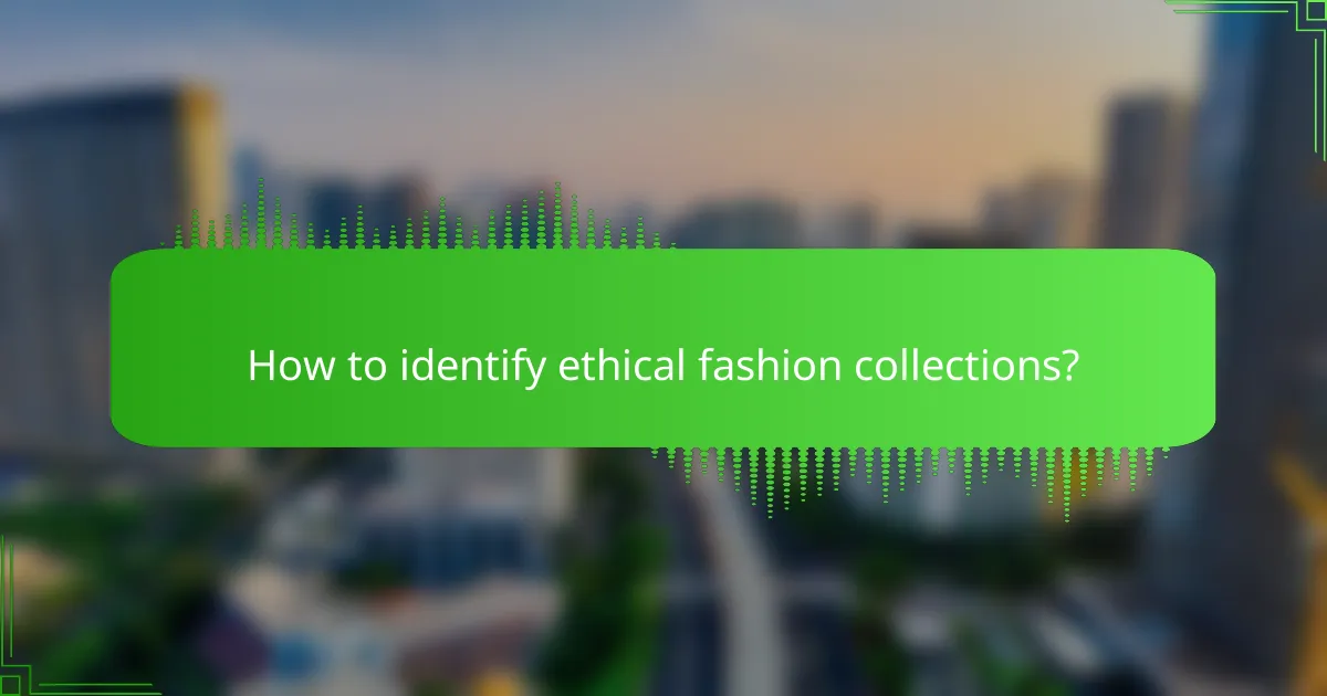 How to identify ethical fashion collections?